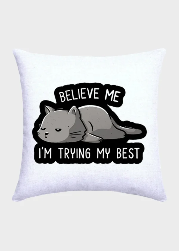 Cat Pillow #w28