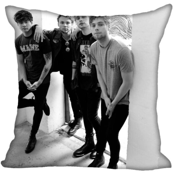 5SOS Pillows - Image 7