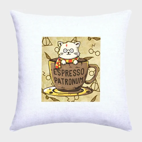 Harry Potter Cat Pillow #1