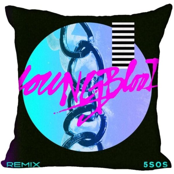 5SOS Pillows - Image 5