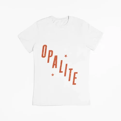 Taylor Swift T-Shirt #5